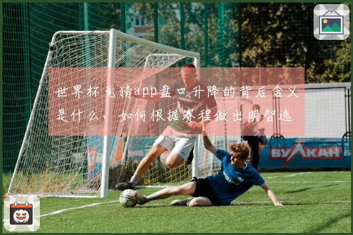 世界杯竞猜app盘口升降的背后含义是什么，如何根据赛程做出明智选择？