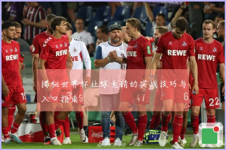 揭秘世界杯让球竞猜的实战技巧与入口指南