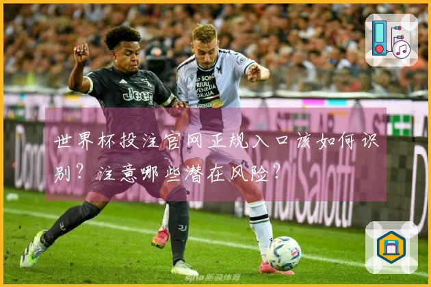 世界杯投注官网正规入口该如何识别？注意哪些潜在风险？