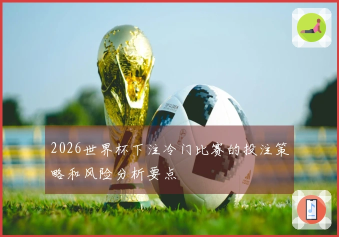 2026世界杯下注冷门比赛的投注策略和风险分析要点