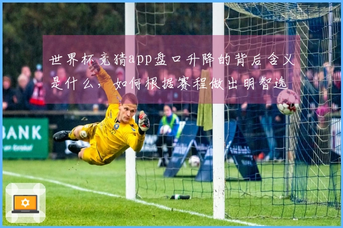 世界杯竞猜app盘口升降的背后含义是什么，如何根据赛程做出明智选择？