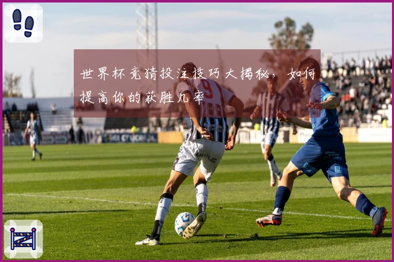 世界杯竞猜投注技巧大揭秘，如何提高你的获胜几率